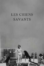 Watch Les chiens savants 1channel