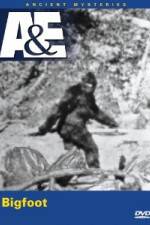 Watch A&E Ancient Mysteries - Bigfoot 1channel