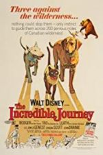 Watch The Incredible Journey 1channel