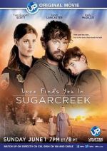Watch Love Finds You in Sugarcreek 1channel