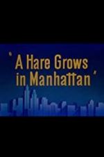 Watch A Hare Grows in Manhattan 1channel