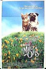 Watch Milo & Otis 1channel