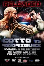 Watch Miguel Cotto vs Delvin Rodriguez 1channel