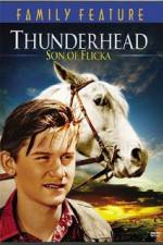 Watch Thunderhead - Son of Flicka 1channel