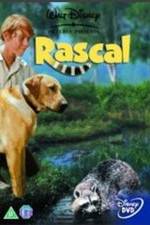 Watch Rascal 1channel