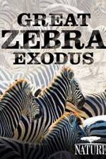Watch Nature: Great Zebra Exodus 1channel