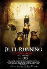 Watch Encierro 3D: Bull Running in Pamplona 1channel