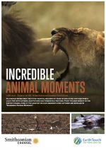 Watch Incredible Animal Moments 1channel