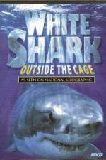 Watch National Geographic white shark:outside the cage 1channel