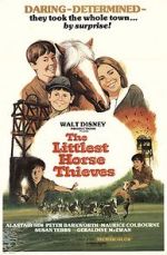 Watch The Littlest Horse Thieves 1channel