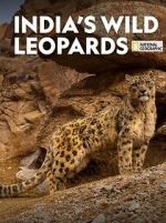 Watch India\'s Wild Leopards (Short 2020) 1channel