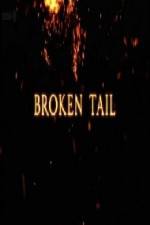 Watch A Tiger Called Broken Tail 1channel