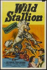 Watch Wild Stallion 1channel