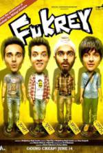 Watch Fukrey 1channel