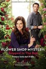 Watch Flower Shop Mystery: Snipped in the Bud 1channel