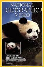 Watch Secrets of the Wild Panda 1channel