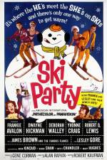 Watch Ski Party 1channel