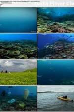 Watch National Geographic: Pacific Ocean Paradise 1channel