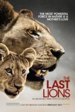 Watch The Last Lions 1channel