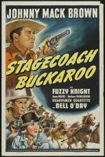 Watch Stagecoach Buckaroo 1channel