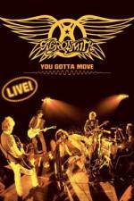 Watch Aerosmith You Gotta Move 1channel