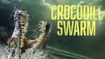 Watch Crocodile Swarm 1channel