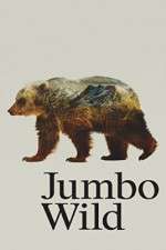 Watch Jumbo Wild 1channel