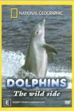 Watch Dolphins: The Wild Side 1channel