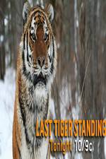 Watch Discovery Channel-Last Tiger Standing 1channel
