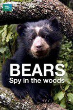 Watch Bears: Spy in the Woods 1channel