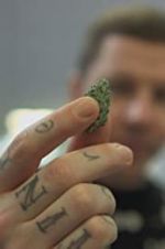 Watch Professor Green: Is It Time to Legalise Weed? 1channel