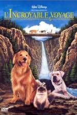 Watch Homeward Bound: The Incredible Journey 1channel