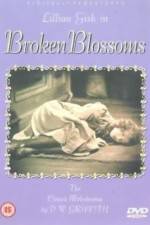 Watch Broken Blossoms or The Yellow Man and the Girl 1channel