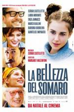 Watch La bellezza del somaro 1channel