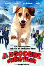 Watch A Doggone Christmas 1channel