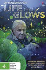 Watch Attenborough\'s Life That Glows 1channel