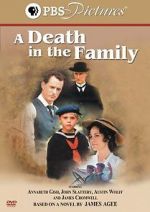 Watch A Death in the Family 1channel