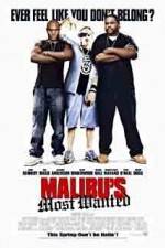 Watch Malibu's Most Wanted 1channel