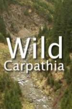 Watch Wild Carpathia 1channel