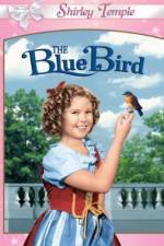 Watch The Blue Bird 1channel