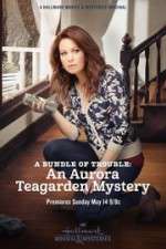 Watch A Bundle of Trouble: An Aurora Teagarden Mystery 1channel