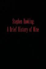 Watch Stephen Hawking A Brief History of Mine 1channel