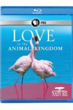 Watch Nature: Love in the Animal Kingdom 1channel