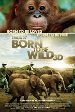 Watch Born to Be Wild 1channel