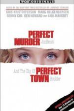 Watch Perfect Murder Perfect Town JonBenet and the City of Boulder 1channel