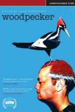 Watch Woodpecker 1channel