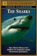 Watch National Geographic The Sharks 1channel