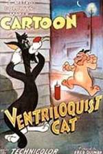 Watch Ventriloquist Cat 1channel