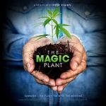 Watch The Magic Plant 1channel