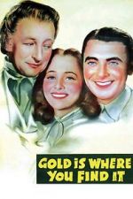 Watch Gold Is Where You Find It 1channel